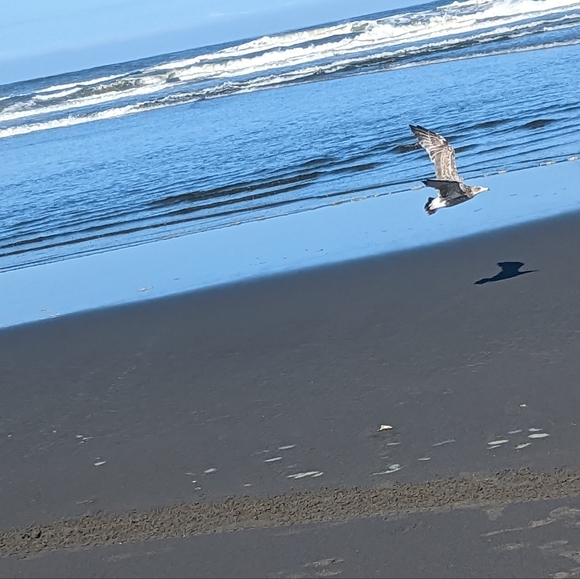 Meet your Posher, Jessica - Picture 1 of 3